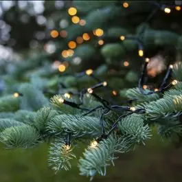 1,8m LED kerstverlichting op batterij, 24 lamps, Binnen en Buiten, met timer | Lampgigant.nl Must-Have
