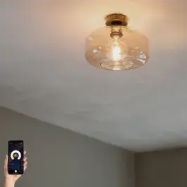 Smart plafondlamp zwart met amber glas incl. Wifi A60 - Bizle | QAZQA Betaalbaar